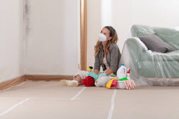 Reliable Black Mold Removal contractor in Grant, MN by WQB Mold Removal